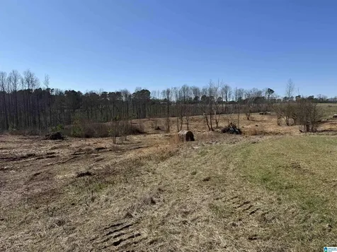 0 County Road 940 Cullman AL 35057