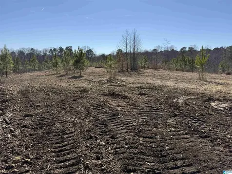 0 County Road 940 Cullman AL 35057