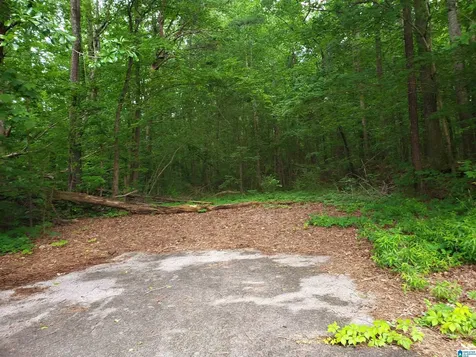 4100 Abbey Road Adamsville AL 35005