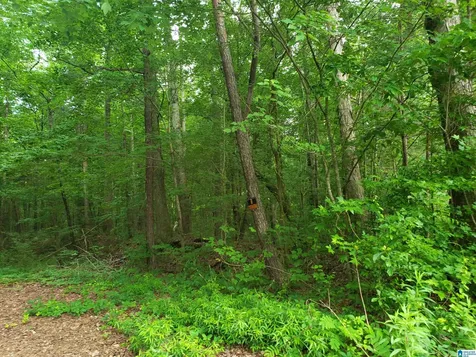 4100 Abbey Road Adamsville AL 35005