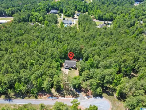 593 Wysteria Lane Sylacauga AL 35151