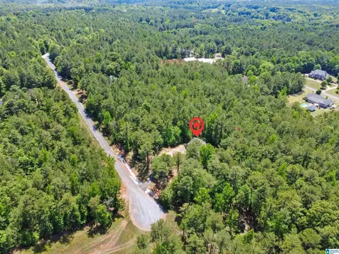 593 Wysteria Lane Sylacauga AL 35151