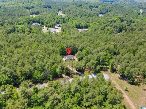 593 Wysteria Lane Sylacauga AL 35151