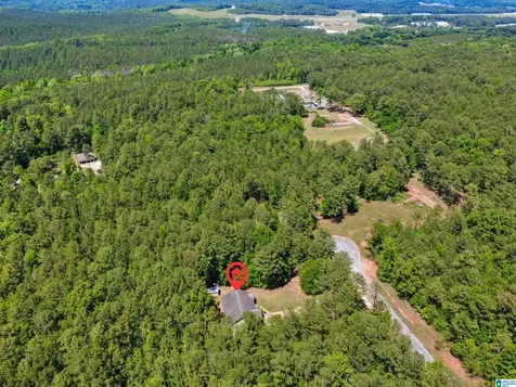 593 Wysteria Lane Sylacauga AL 35151