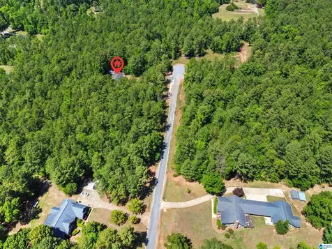 593 Wysteria Lane Sylacauga AL 35151