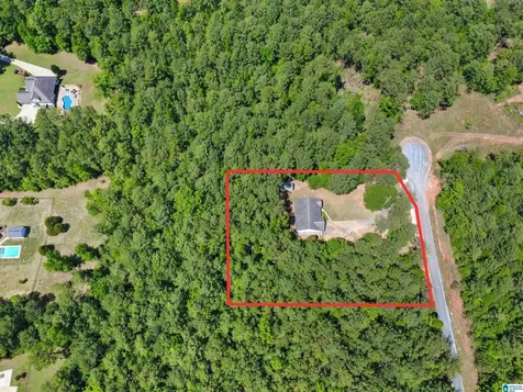 593 Wysteria Lane Sylacauga AL 35151