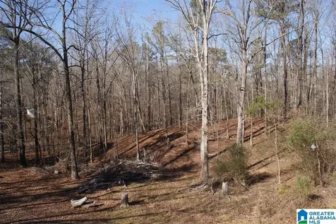 3965 Black Hawk Drive Bessemer AL 35022