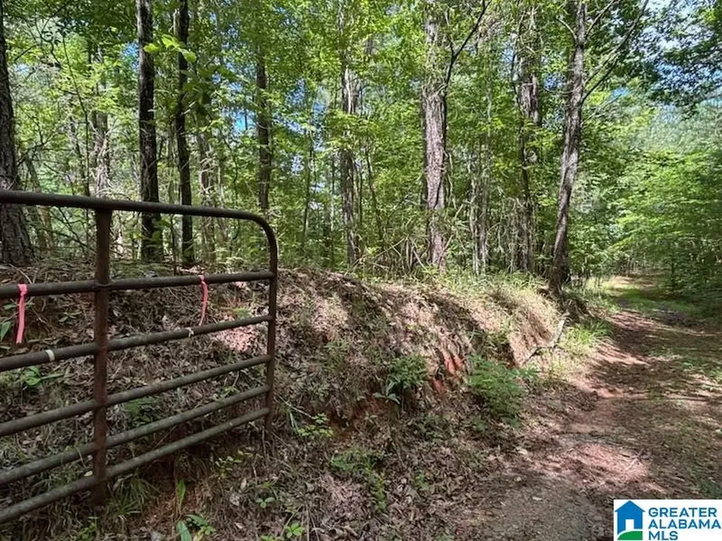 0 Coosa County Road 29 Rockford AL 35136