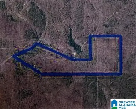 0 Coosa County Road 29 Rockford AL 35136