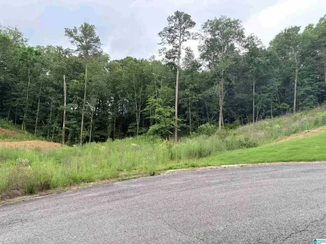 905 Calvary Crossings Fultondale AL 35068