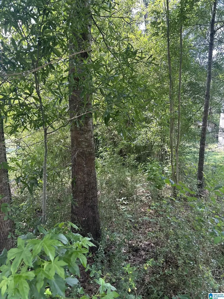 0 Limbaugh Street Sylacauga AL 35150
