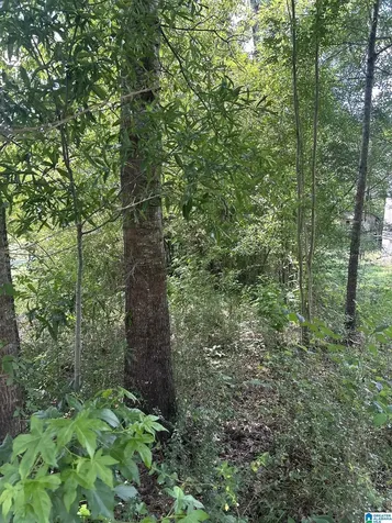 0 Limbaugh Street Sylacauga AL 35150