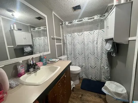 2650 Ray Street Birmingham AL 35224