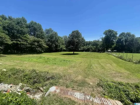 2650 Ray Street Birmingham AL 35224