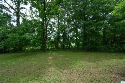 101 Shady Lane Alabaster AL 35007