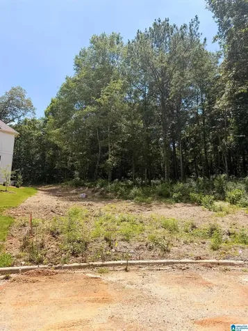 248 Mountain Lake Trail Alabaster AL 35007