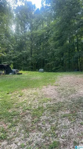 201 N Norton Road Sylacauga AL 35151