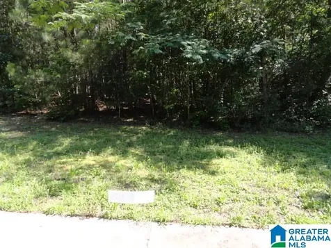 3295 Hillcrest Place Adamsville AL 35005