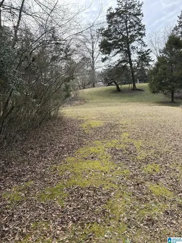 3809 Odens Mill Road Sylacauga AL 35151