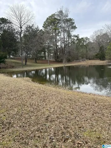 3809 Odens Mill Road Sylacauga AL 35151