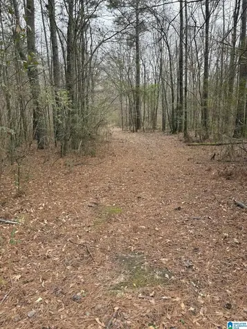 3809 Odens Mill Road Sylacauga AL 35151