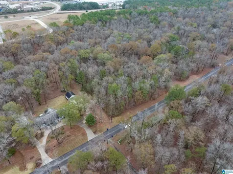 145 Chestnut Drive Alabaster AL 35007