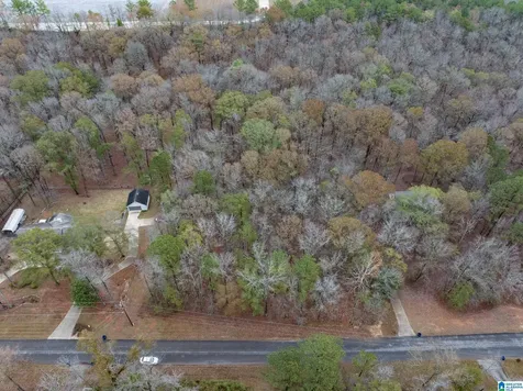 145 Chestnut Drive Alabaster AL 35007