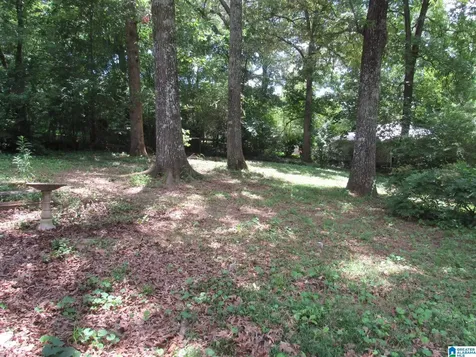 1660 3rd Street NW Center Point AL 35215
