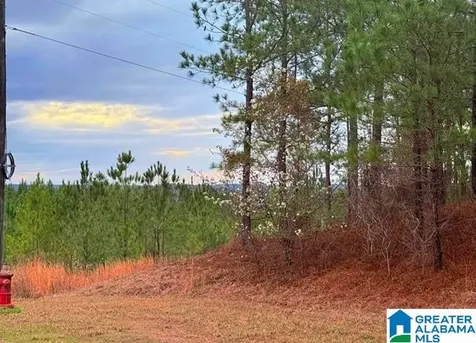 Shore Side Lane Sylacauga AL 35151