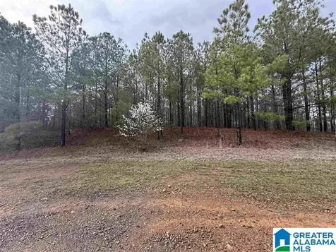Shore Side Lane Sylacauga AL 35151