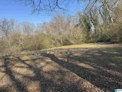 1137 7th Avenue Pleasant Grove AL 35127