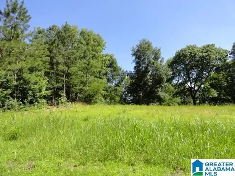 3290 Hillcrest Place Adamsville AL 35005