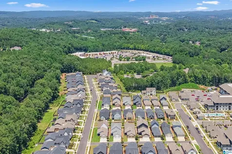 1225 Lillian Terrace Hoover AL 35244
