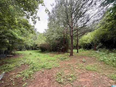 686 Tanyard Hill Road Sylacauga AL 35151