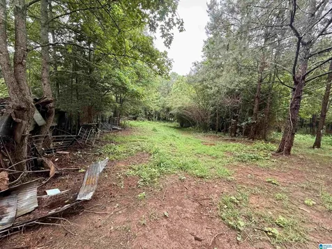 686 Tanyard Hill Road Sylacauga AL 35151