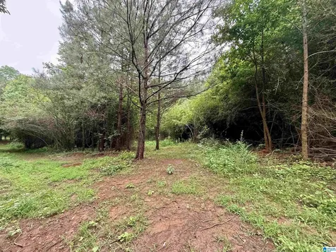 686 Tanyard Hill Road Sylacauga AL 35151