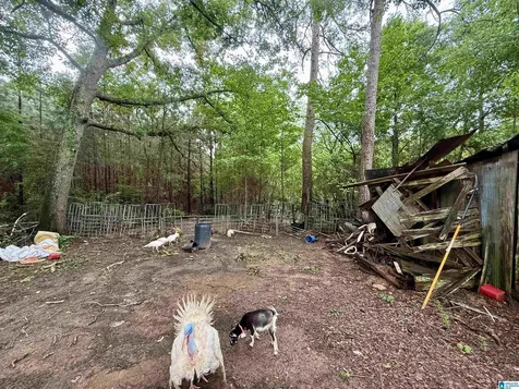 686 Tanyard Hill Road Sylacauga AL 35151