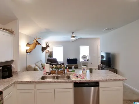 190 Andrew Lane Odenville AL 35120