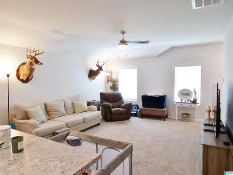 190 Andrew Lane Odenville AL 35120