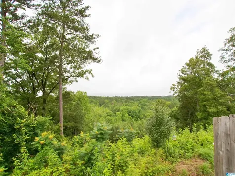 190 Andrew Lane Odenville AL 35120
