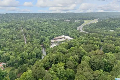 3824 River View Drive Vestavia Hills AL 35243