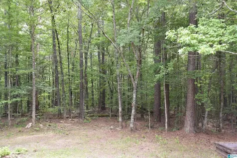 115 Deer Run Drive Sylacauga AL 35150