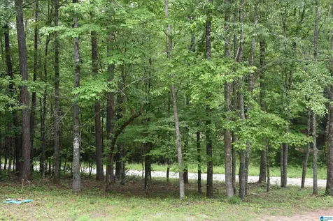 115 Deer Run Drive Sylacauga AL 35150