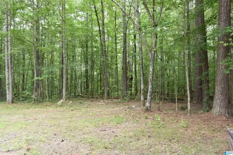 115 Deer Run Drive Sylacauga AL 35150