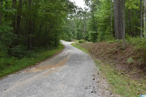 115 Deer Run Drive Sylacauga AL 35150