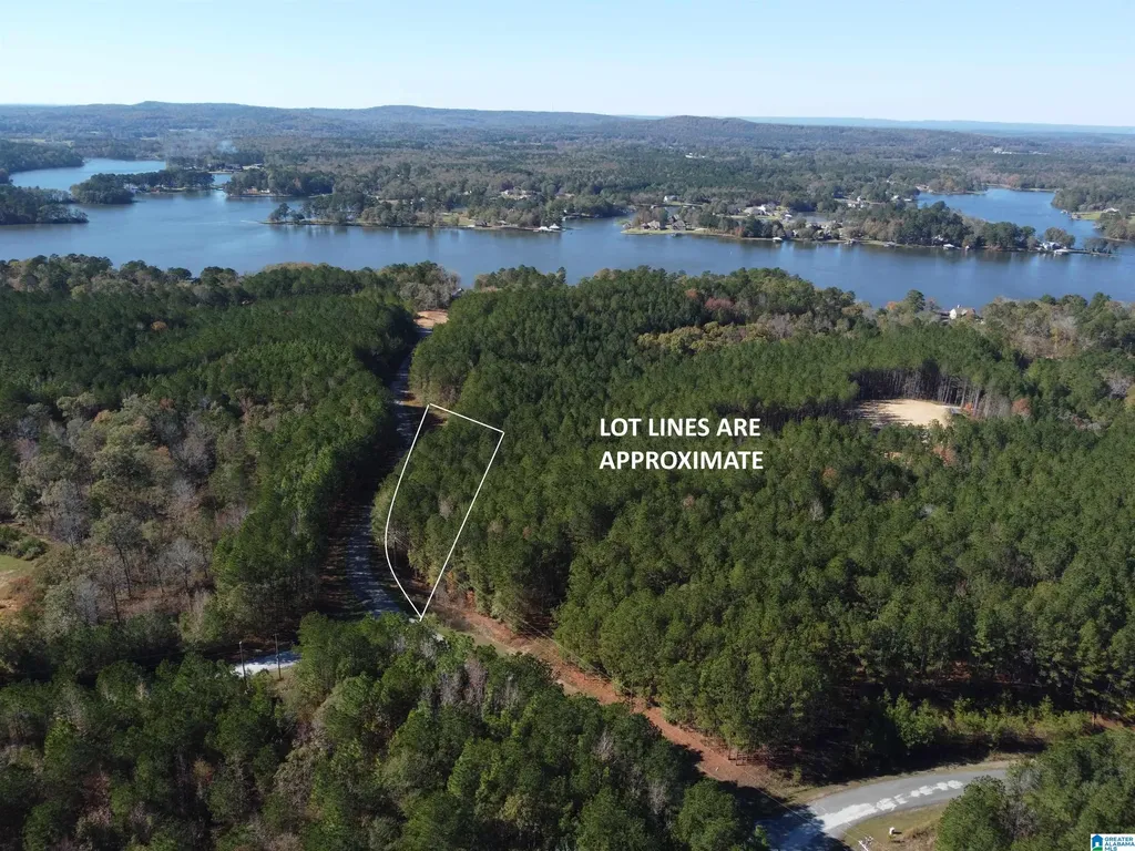 Lot 221 Shore Side Lane Sylacauga AL 35151