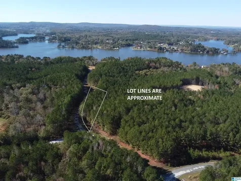 Lot 221 Shore Side Lane Sylacauga AL 35151