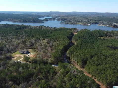 Lot 221 Shore Side Lane Sylacauga AL 35151