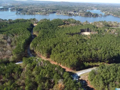 Lot 221 Shore Side Lane Sylacauga AL 35151