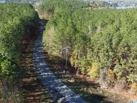 Lot 221 Shore Side Lane Sylacauga AL 35151
